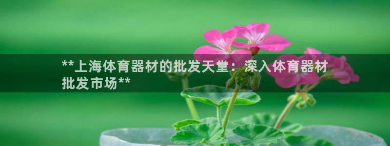 耀世娱乐返点多少钱：**上海体育器材的批发天堂：深入