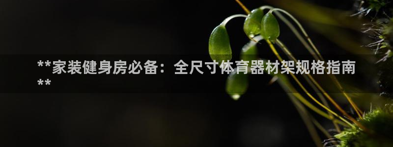 耀世娱乐骗局曝光：**家装健身房必备：全尺寸体育器材