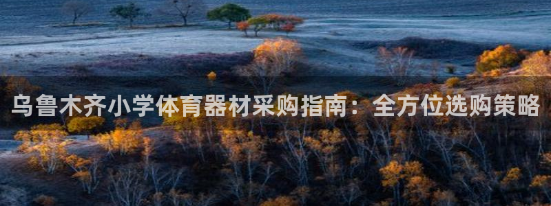 耀世娱乐官网网站下载：乌鲁木齐小学体育器材采购指南：