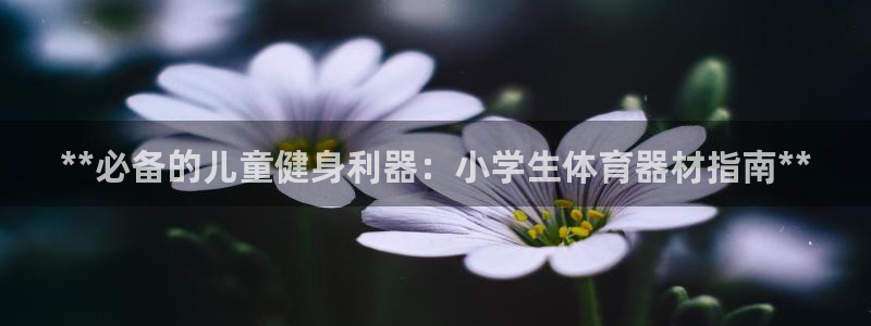 耀世意思是什么：**必备的儿童健身利器：小学生体育器