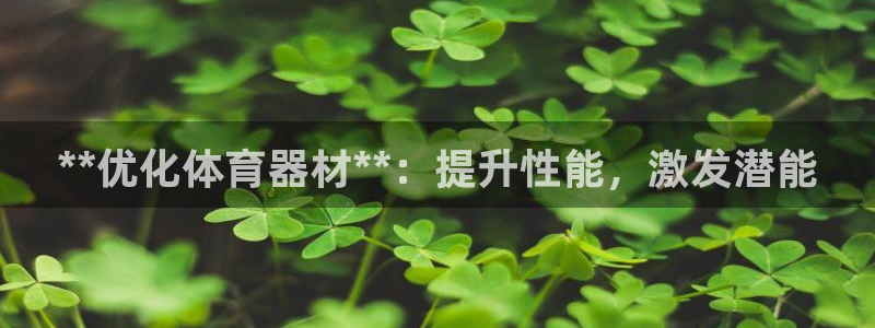 耀世兵权：**优化体育器材**：提升性能，激发潜能