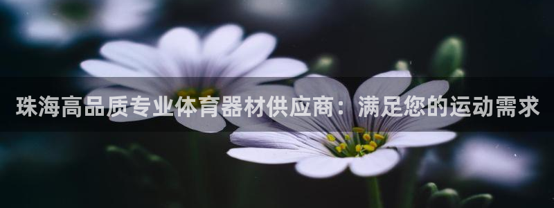 耀世娱乐app下载官网苹果：珠海高品质专业体育器材供