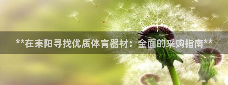 耀世团长：**在耒阳寻找优质体育器材：全面的采购指南