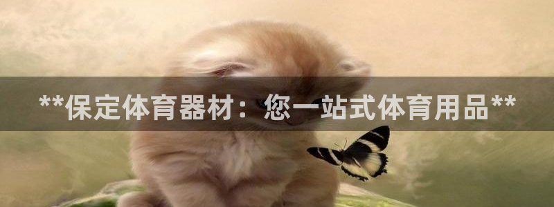 耀世国际平台正规吗可靠吗安全吗：**保定体育器材：您