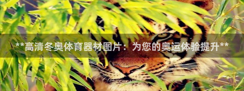 耀世开放什么意思：**高清冬奥体育器材图片：为您的奥