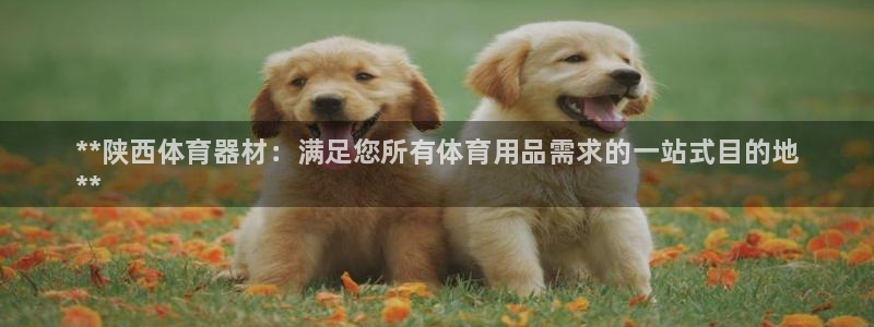 耀世娱乐注册官网网址：**陕西体育器材：满足您所有体