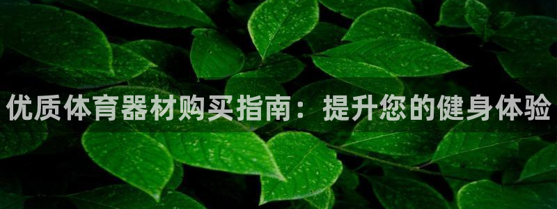耀世娱乐怎么注册 贴吧：优质体育器材购买指南：提升您