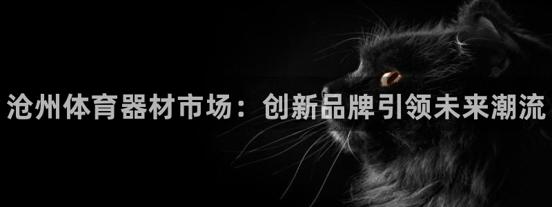 耀世平台代理怎么样：沧州体育器材市场：创新品牌引领未