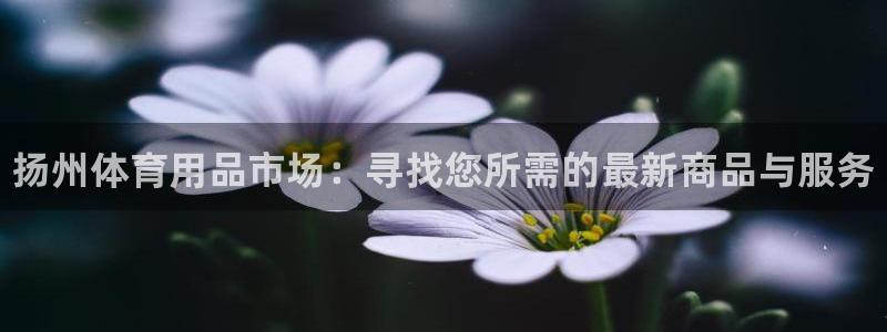 耀世集团王大聪简介：扬州体育用品市场：寻找您所需的最新商品与